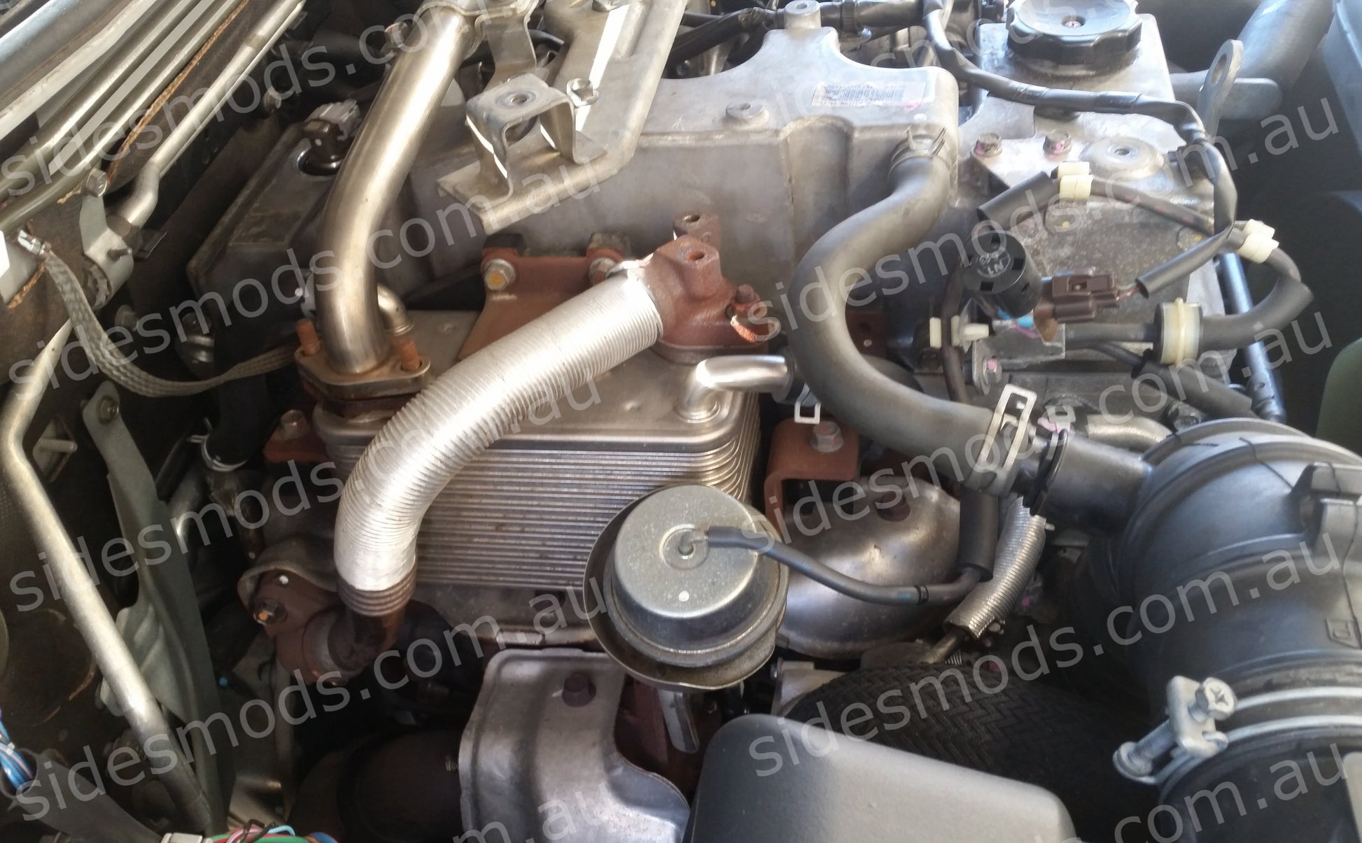 triton egr cooler delete